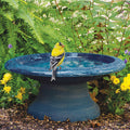 Short Azure Blue Fiber Clay Bird Bath