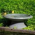 Short Cool Grey Fiber Clay Bird Bath