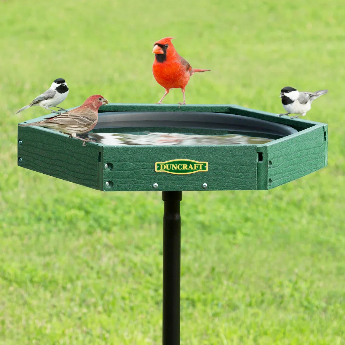 Duncraft Hexagon Post Bird Bath