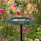 Duncraft Hexagon Post Bird Bath