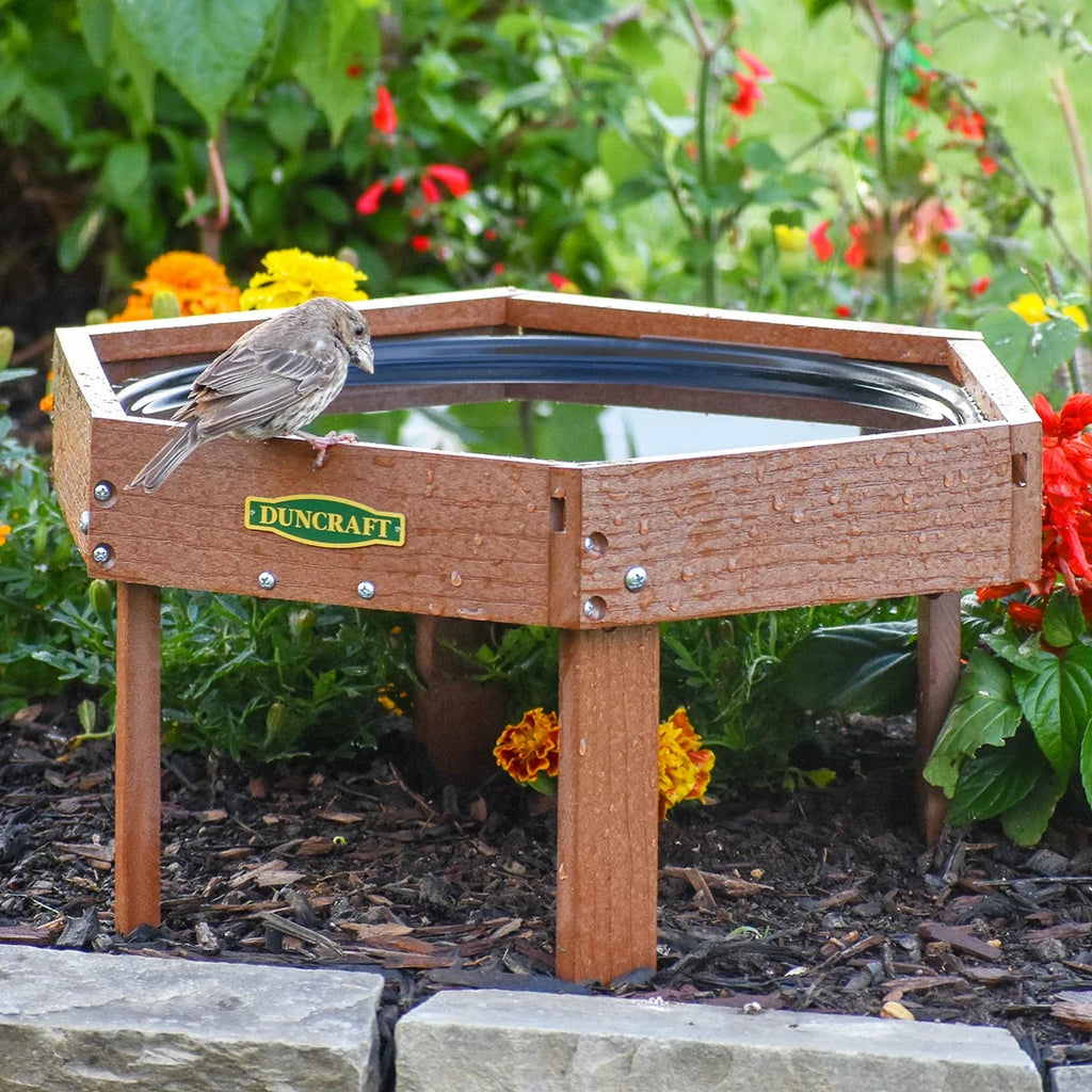 Duncraft Hexagon Ground Bird Bath