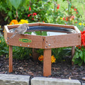 Duncraft Hexagon Ground Bird Bath