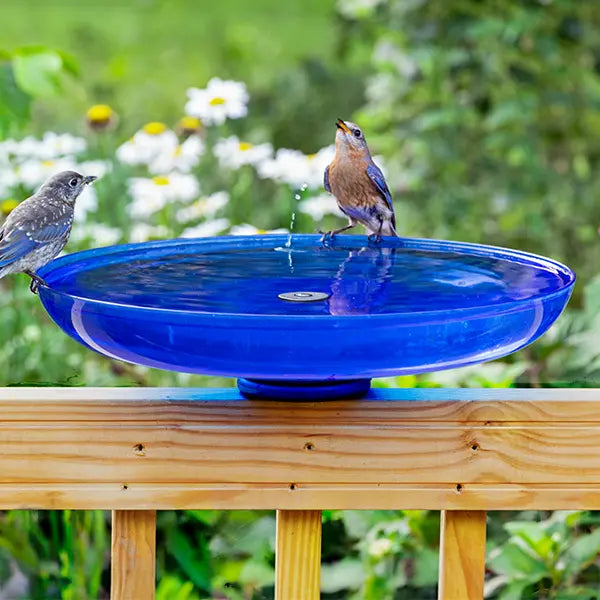 Duncraft Blue Deck Mount Bird Bath