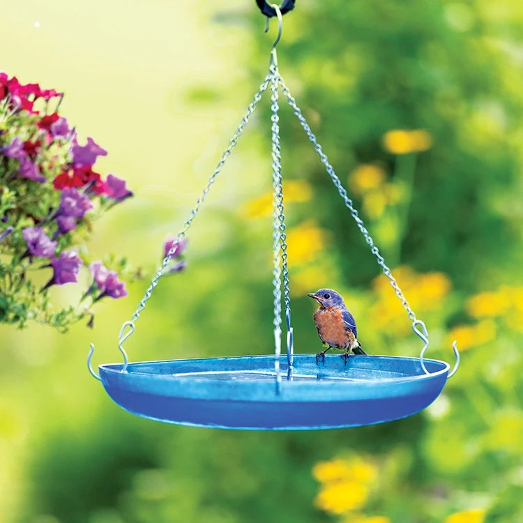 Duncraft Blue Hanging Bird Bath