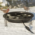Heated Bird Bath Ground Level