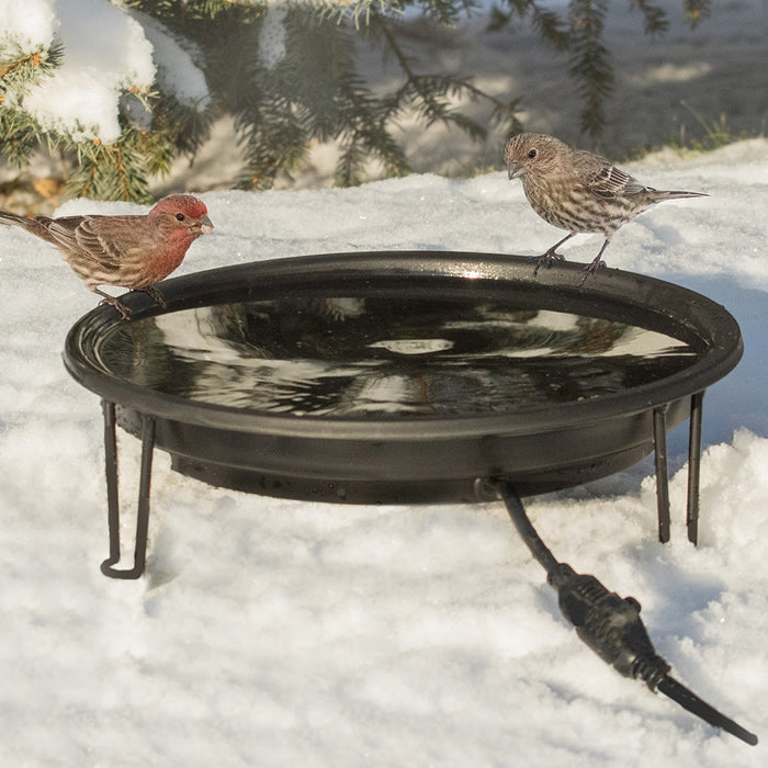Heated Bird Bath Ground Level