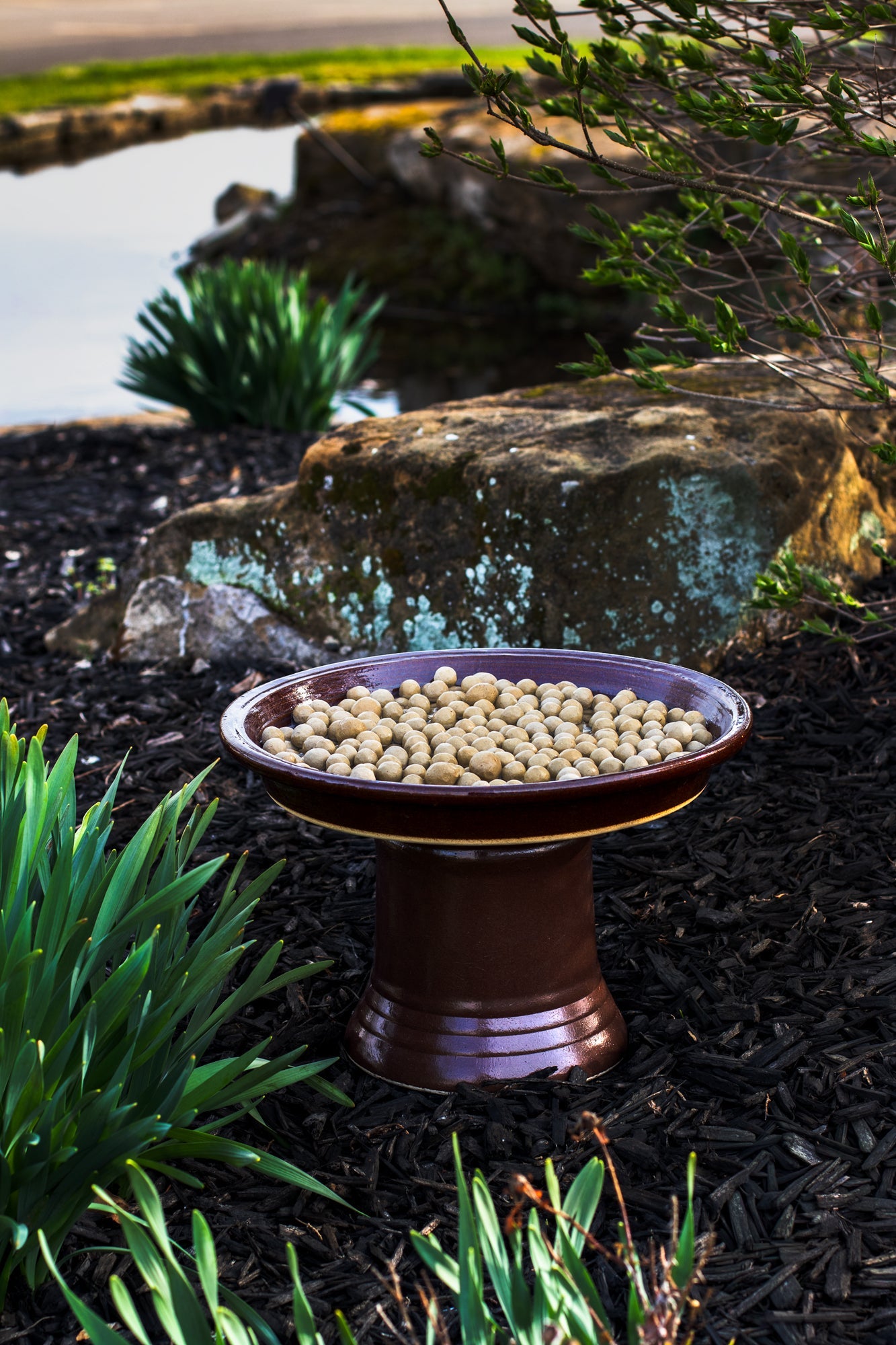 Bee & Butterfly Feeder Kit