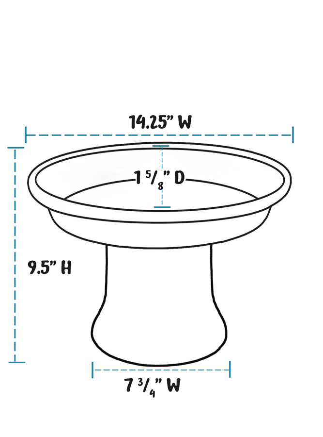 Bee & Butterfly Feeder Kit