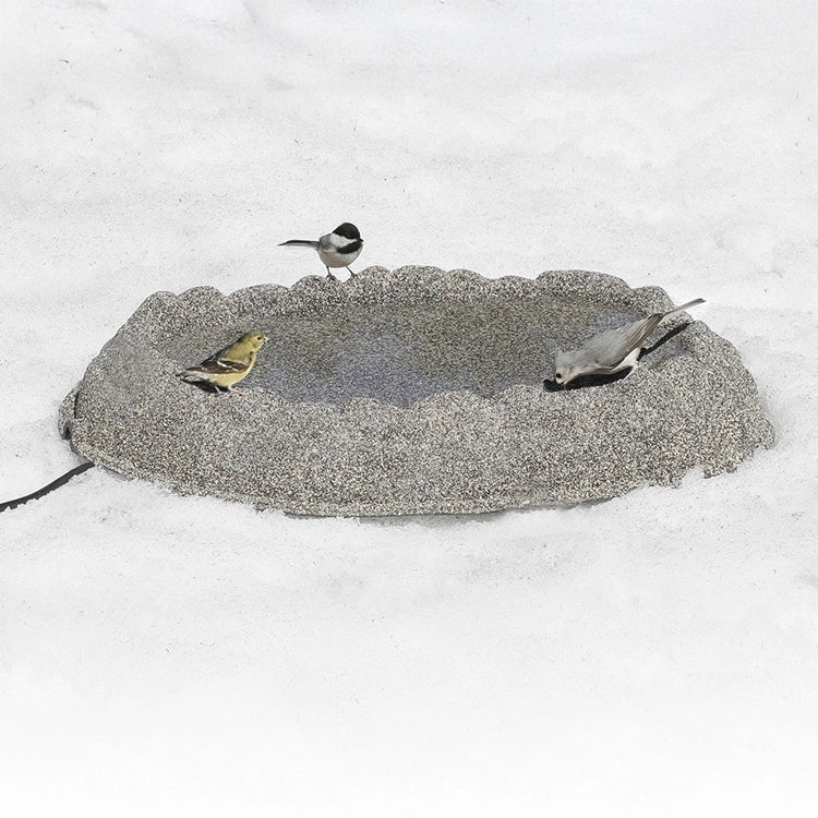 Heated Ground Bird Bath – Outdoor Winter Bird Bath for Wisconsin, Michigan & Ohio