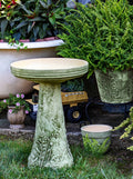 HandAged Fern Birdbath Set