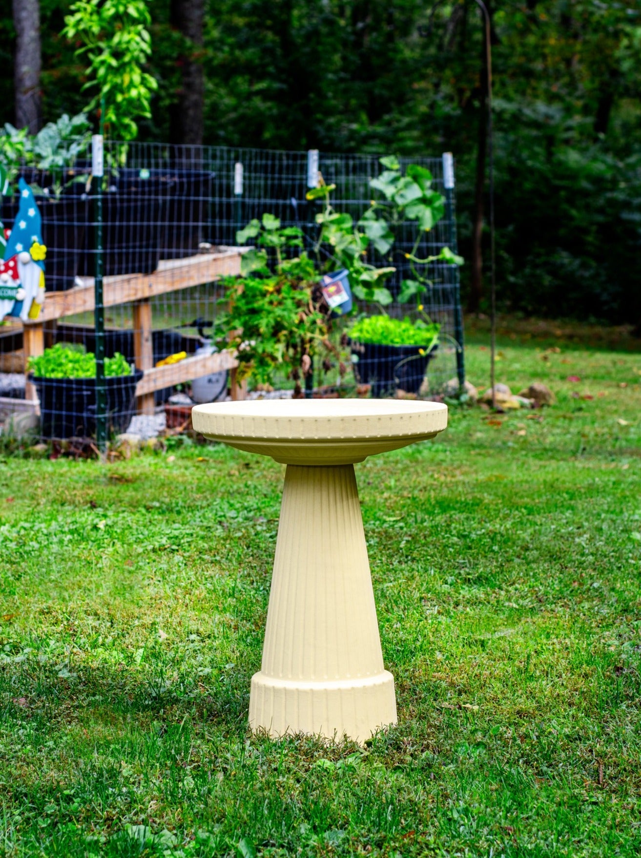 Universal Birdbath Set - Buff